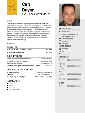 Hasta Bakıcı Cv Örnekleri cv indir